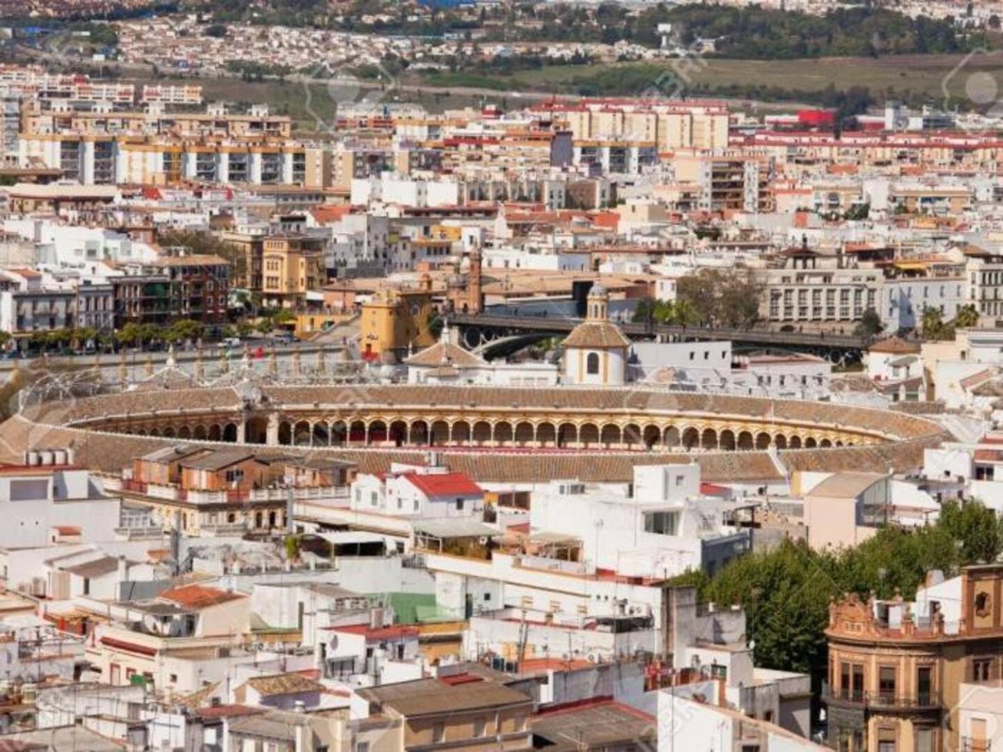 Pure Seville Elegance And Confort 外观 照片